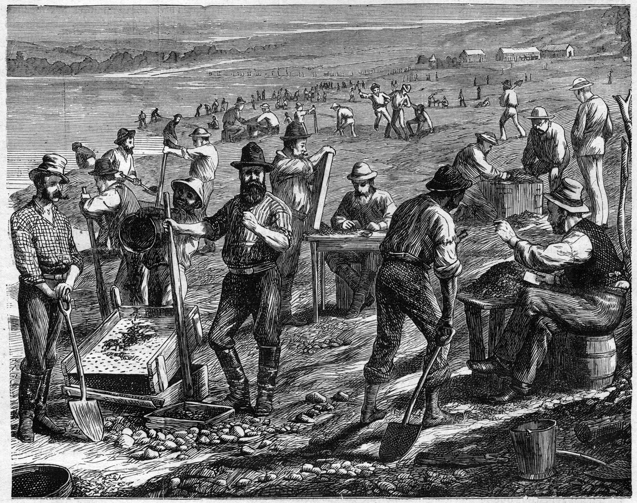 I campi di diamanti al Capo - Lavaggio dei diamanti - Lavaggio dei diamanti in Sud Africa nel XIX secolo da Unknown artist
