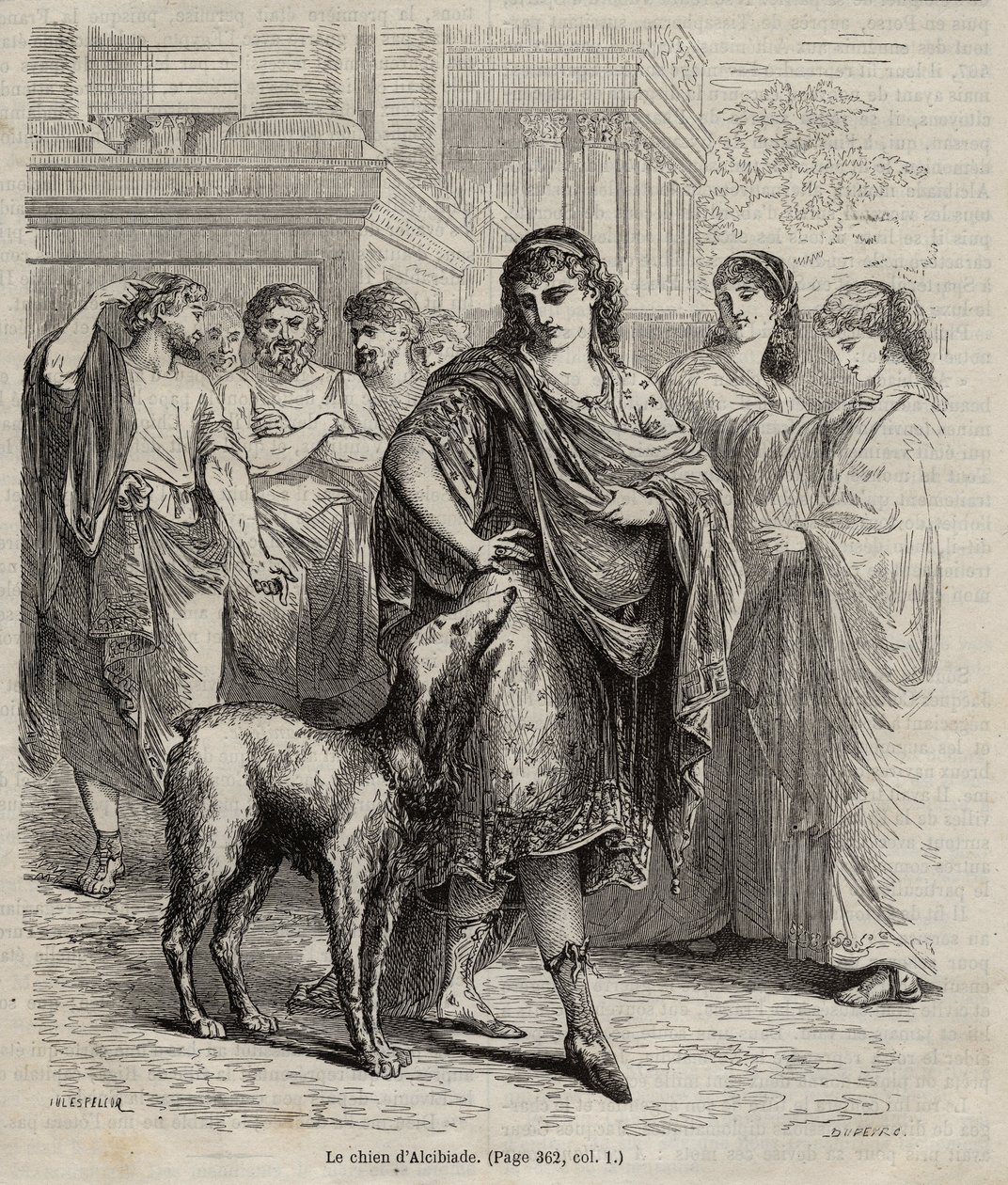 Il cane di Alcibiade da Unknown artist