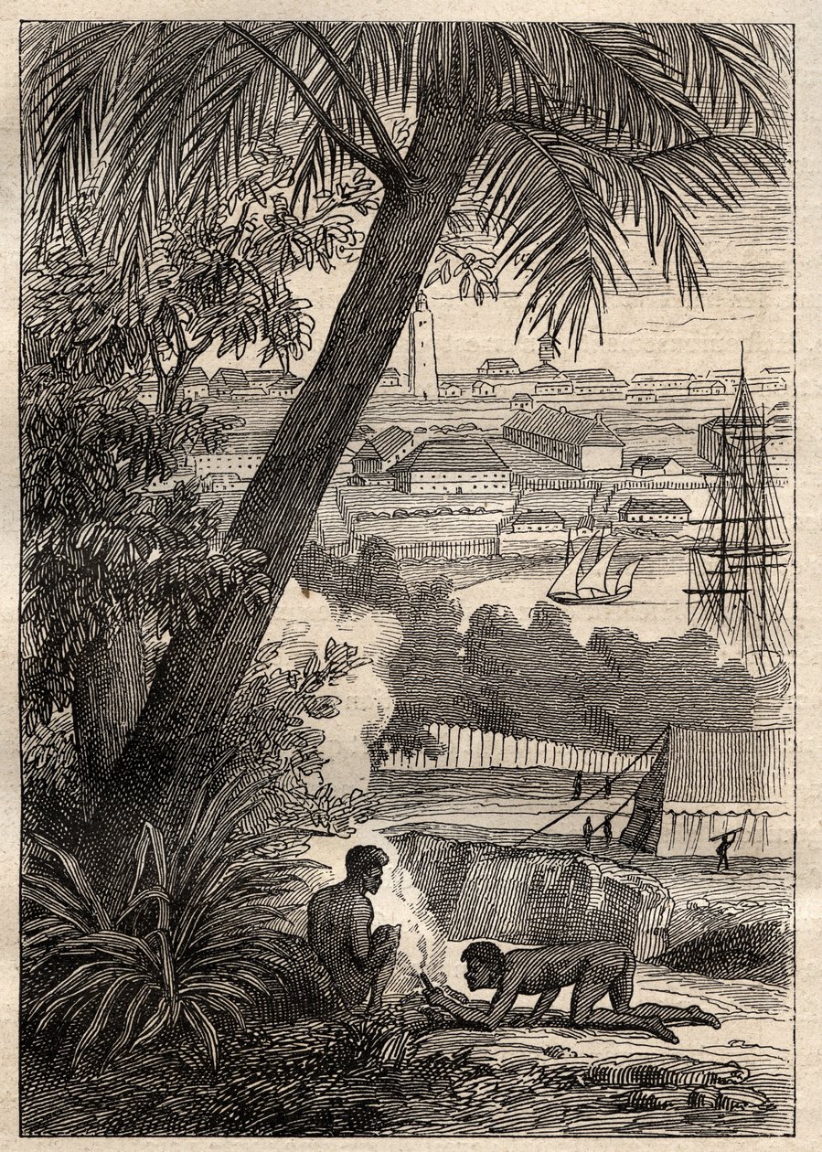 La spedizione nelle terre meridionali (1800-1803) di Nicolas Baudin (1754-1803): veduta di Sydney (Australia) - illustrazione da "I grandi marinai del XVIII secolo" da Unknown artist