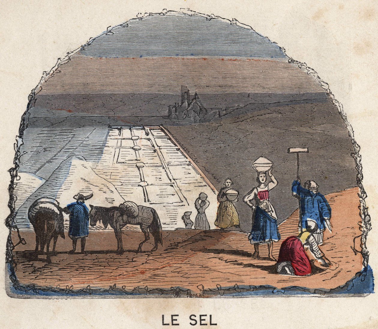 La raccolta del sale. Illustrazione del XIX secolo. Collezione Bianchetti da Unknown artist