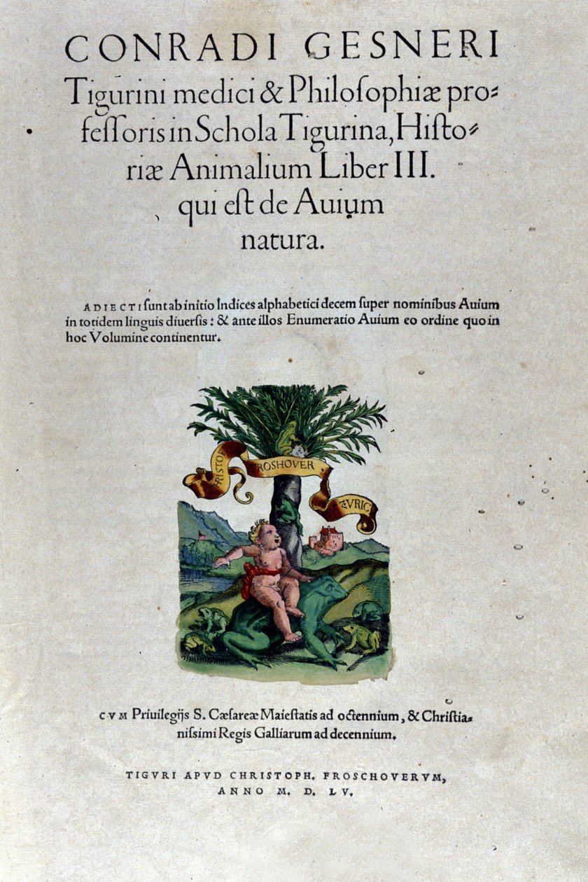 Il frontespizio del terzo volume di Historia Animalium di Conrad Gesner (1516 - 1565), Tiguri da Unknown artist
