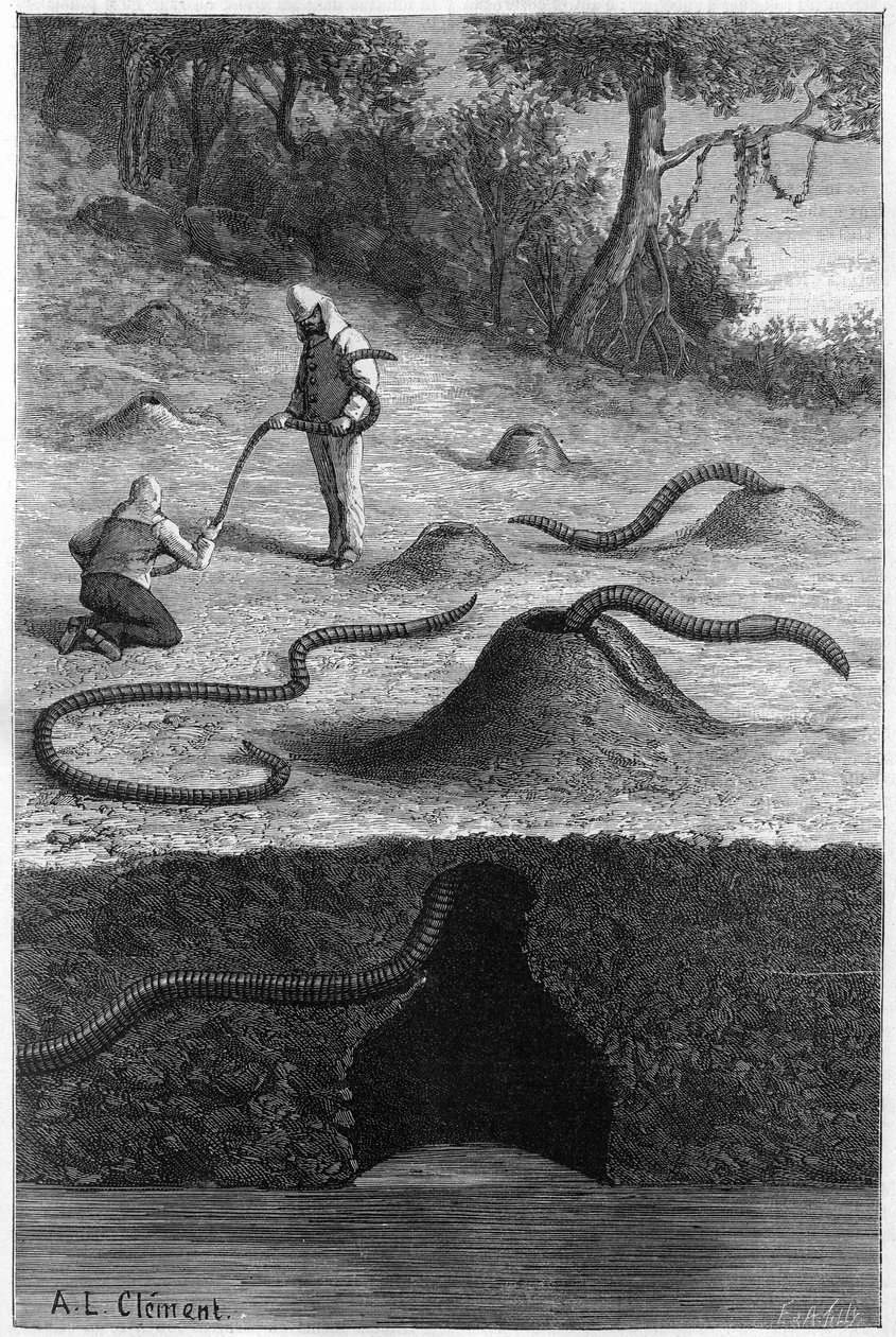 Il gigantesco lombrico dell