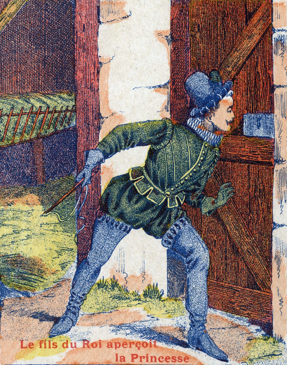 Il figlio del re vide la principessa. Illustrazione per "Pelle d