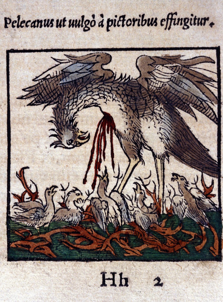 La leggenda del pellicano: dona il suo sangue e le sue viscere per nutrire i suoi piccoli. Da Historiae animalium di Konrad Gesner, Tiguri da Unknown artist