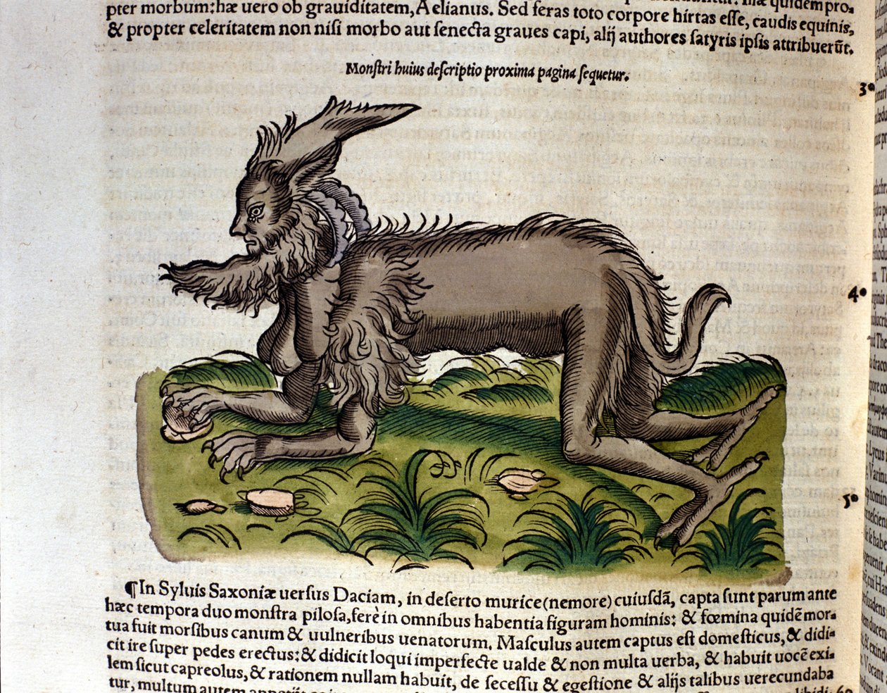 La manticora dall