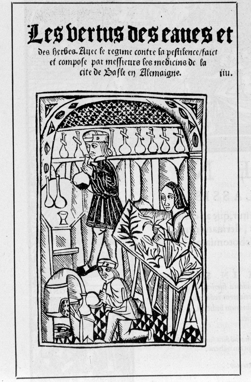 La bottega di un farmacista nel XVI secolo da Unknown artist