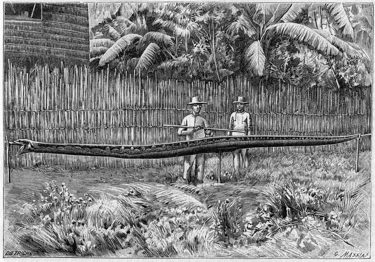 La pelle di un serpente pitone, lunga 6,60 m, catturato nelle Isole Filippine. (Da una fotografia). Incisione in "La Nature: revue des sciences et de leurs applications aux arts et a l