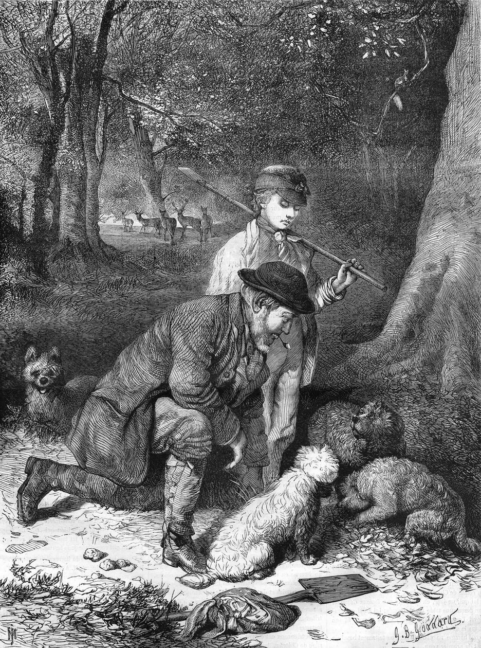 I tartufi. Incisione del 1870. da Unknown artist
