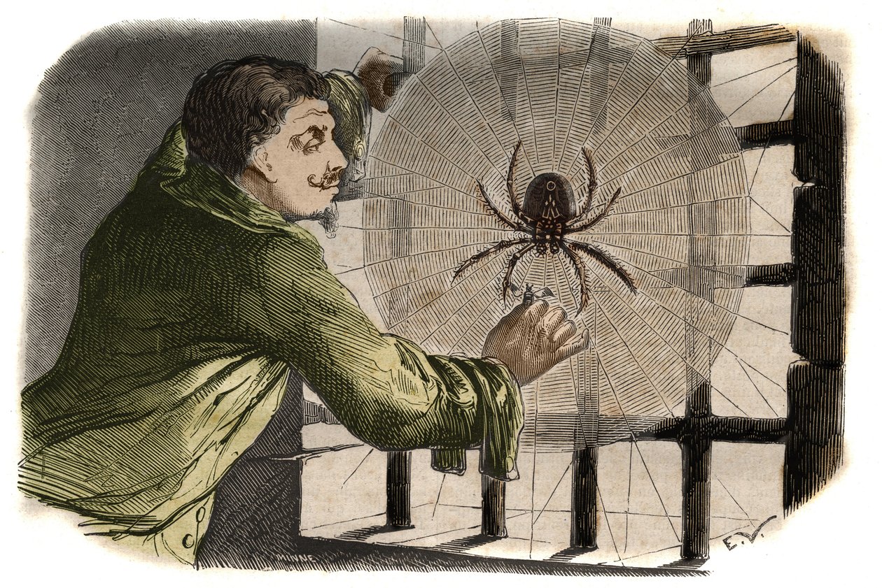 Lo scrittore Paul Pellisson (Paul Pellisson-Fontanier detto) (Pellisson Fontanier) (1624-1693) addomestica un ragno durante la sua prigionia alla Bastiglia. Incisione del 1858 in 