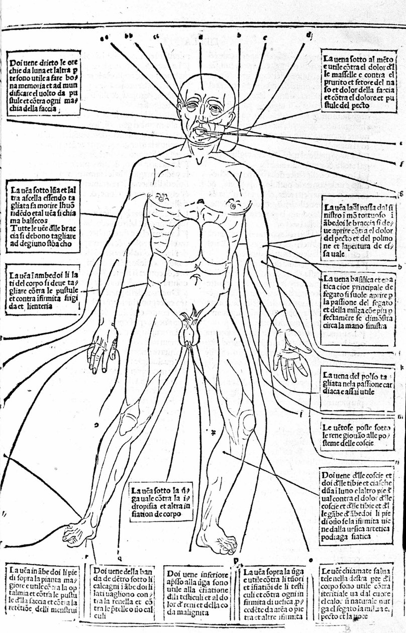 Questa immagine mostra i punti del corpo per praticare il salasso a seconda del dolore. Trattato di Medicina di Gerolamo Cardano, Firenze da Unknown artist