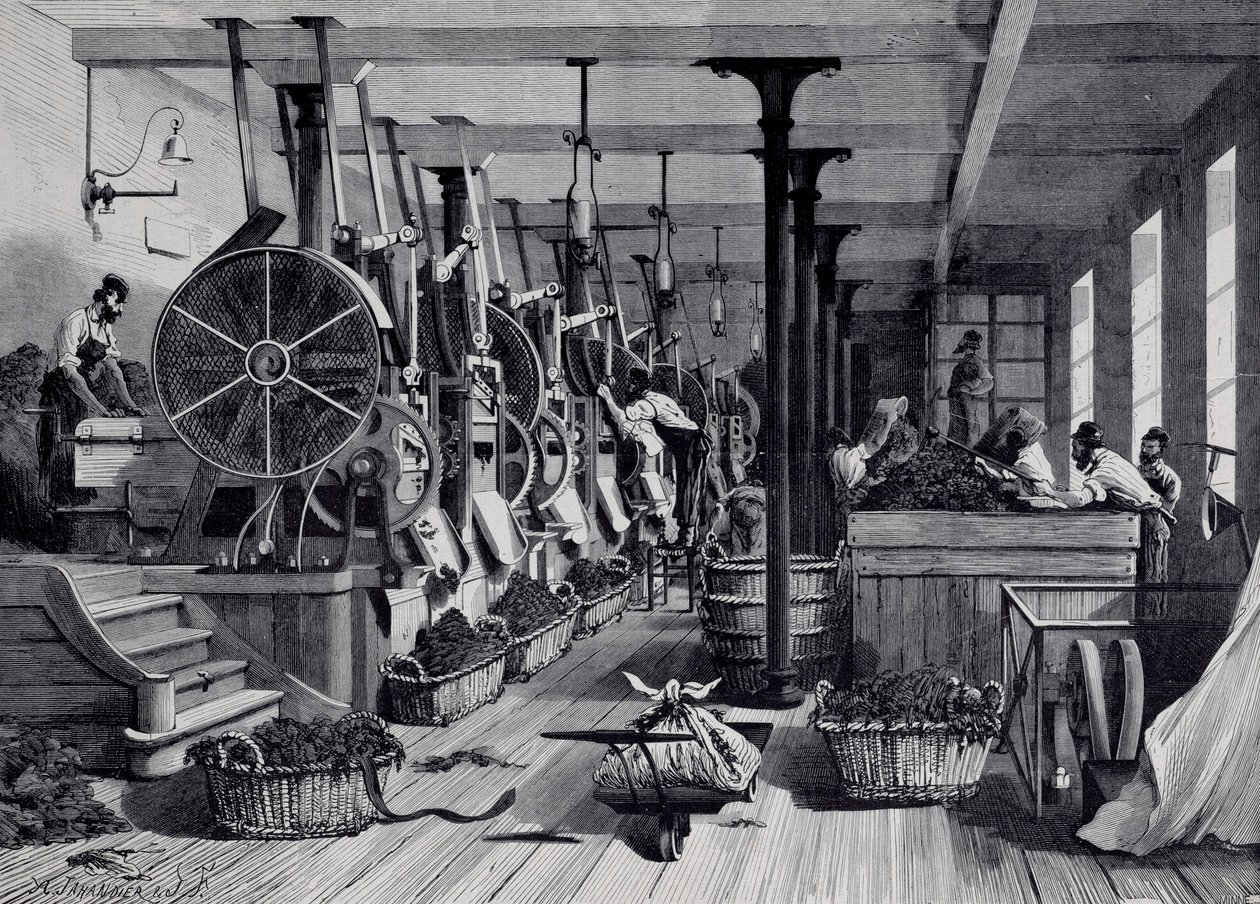 Fabbrica di tabacco, lavanderia e raschiatura del tabacco da Unknown artist