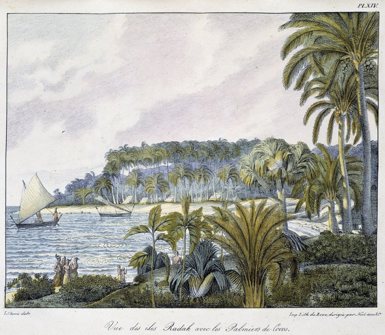 Vista delle Isole Radak dell