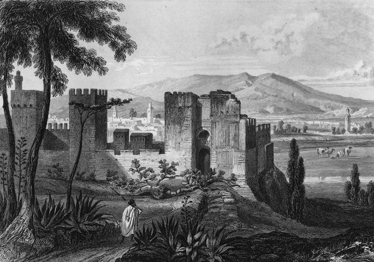 Vista dell