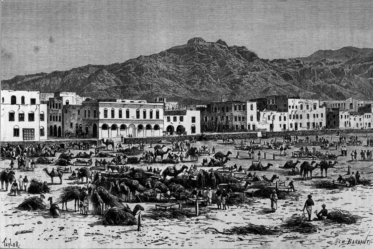 Veduta della marcia di Aden in Abissinia. Incisione del 1880 circa da Unknown artist