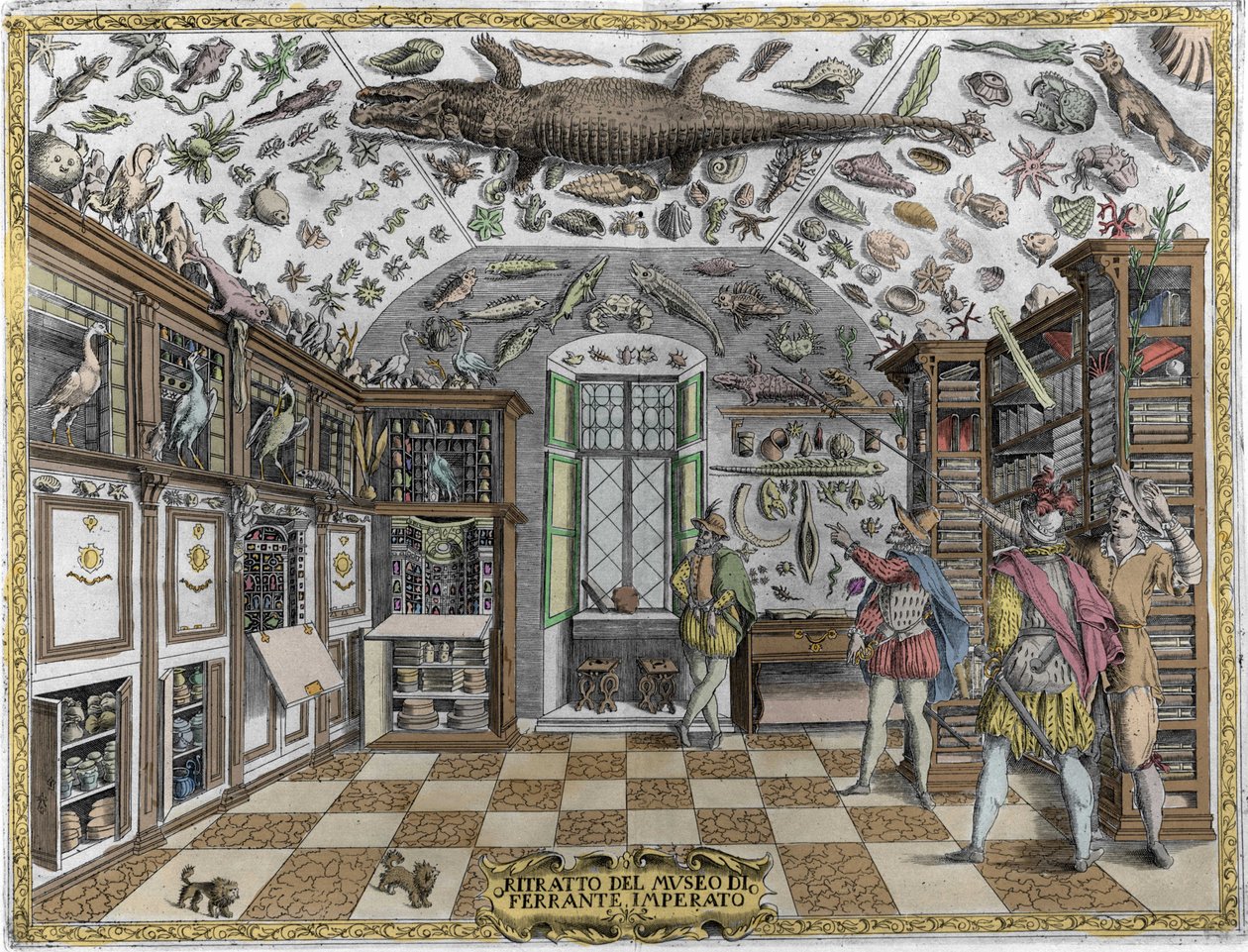 Veduta del museo (gabinetto) delle curiosità (museo enciclopedico) del farmacista Ferrante Imperato (1550-1631). Incisione del 1678. Museo dell