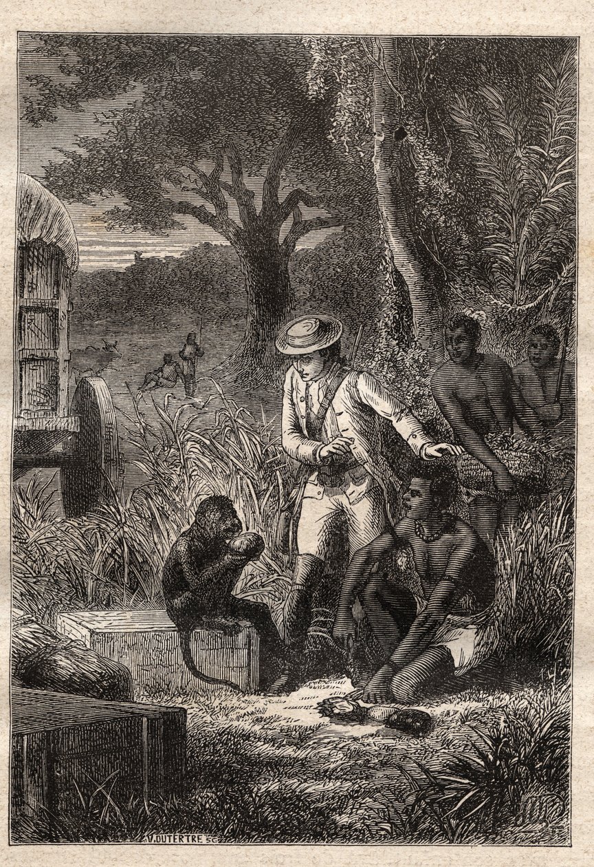 Viaggio nella Caffreria (Sudafrica) (1781) di François Levaillant (1753-1824): Levaillant e la sua scimmia degustatrice Maestro Kees, che assaggia i frutti e le radici per verificare che siano commestibili - illustrazione tratta da 