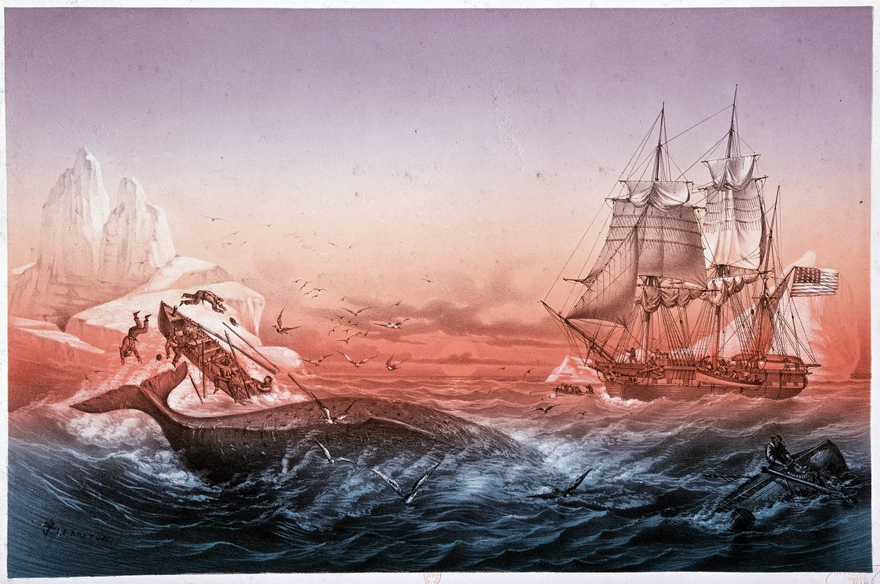 Nave baleniera non riesce a salvare le sue barche capovolte da Unknown artist
