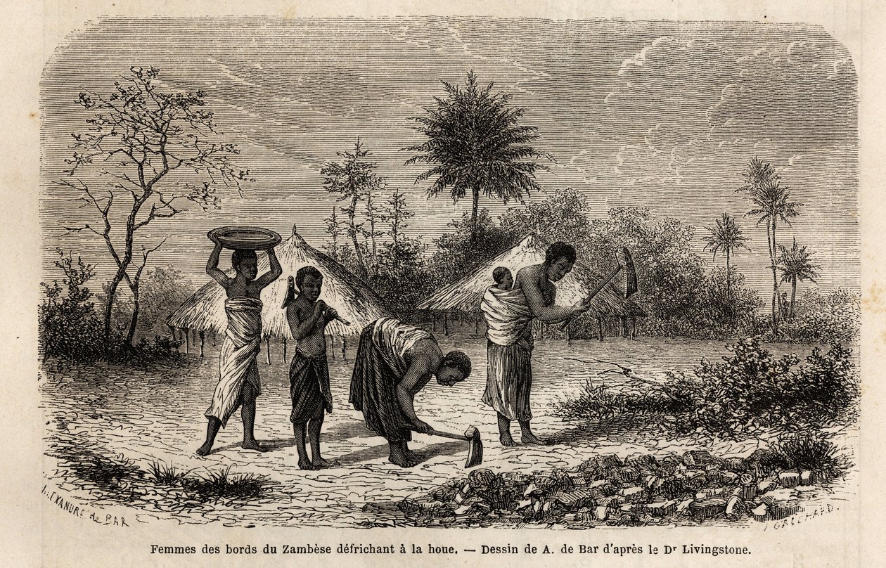Donne delle rive dello Zambeze che dissodano con una zappa, e introducono i bambini al lavoro agricolo. Incisione per illustrare i primi viaggi del Dr. Livingstone nell