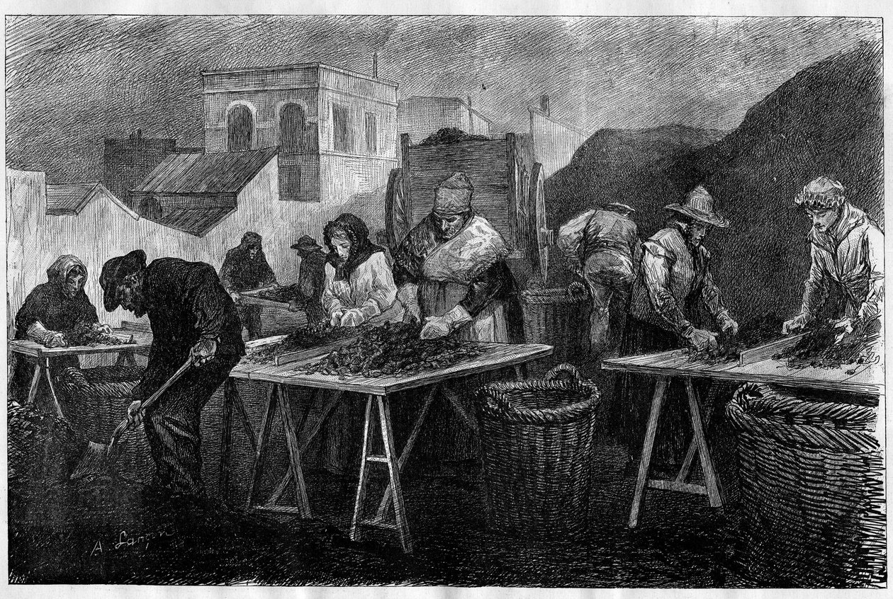 Lavoratori in Francia: Selezionatori di coke (varietà di carbone derivante dalla distillazione del carbone, usato per il riscaldamento) in una fabbrica di gas a Parigi. Incisione in "Le Monde Illustré" da Unknown artist