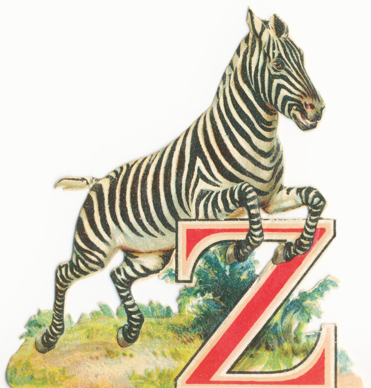 Z: Zebra da Unknown artist