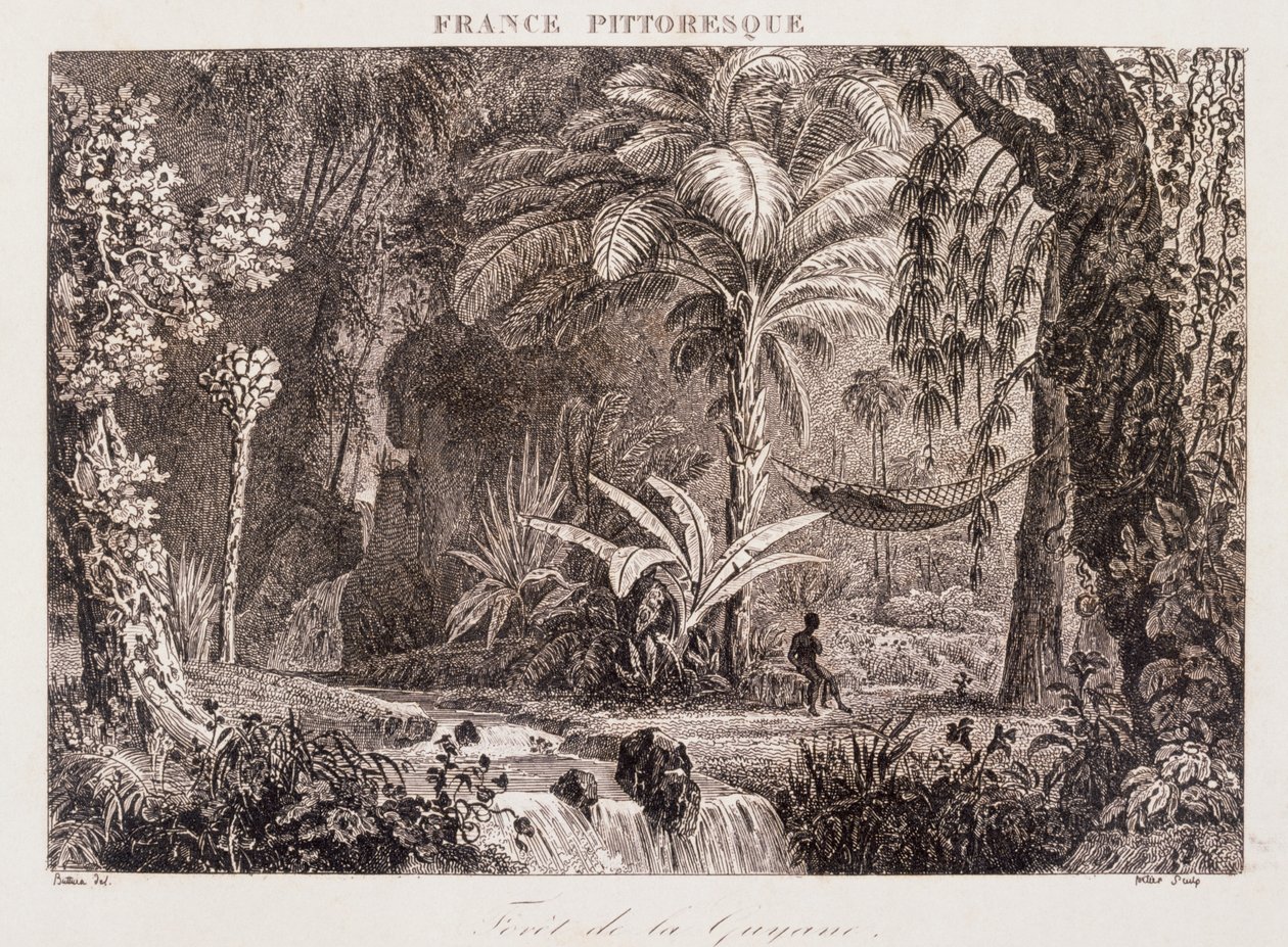 Incisione raffigurante la colonia francese della Guyana in Sud America 1850 da Unknown artist