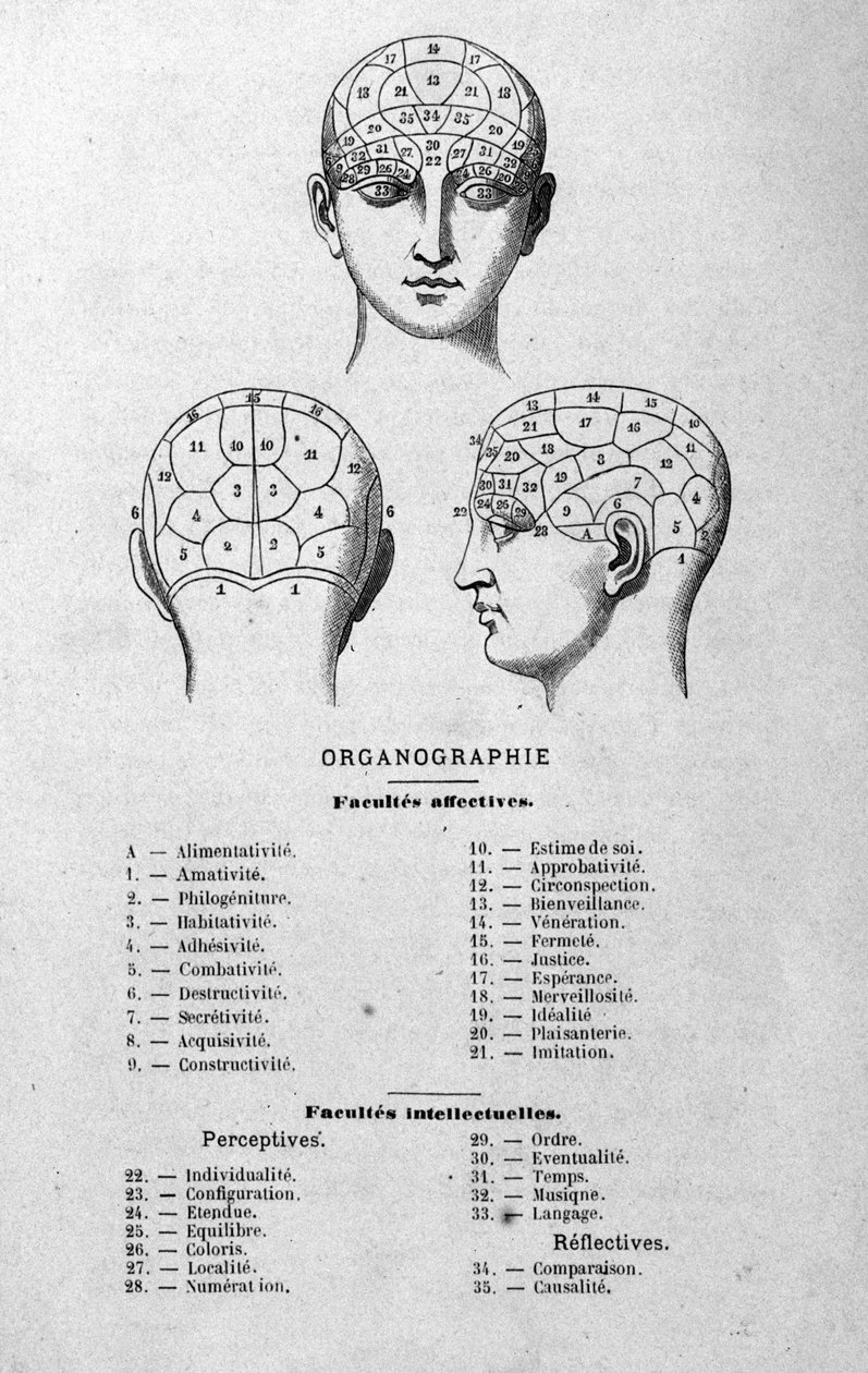 Illustrazione dal libro di Charles Rouvin del 1873 Organographie La Tête humaine, studi illustrati di frenologia e fisionomia applicati a personaggi famosi, Parigi 1873 da Unknown artist