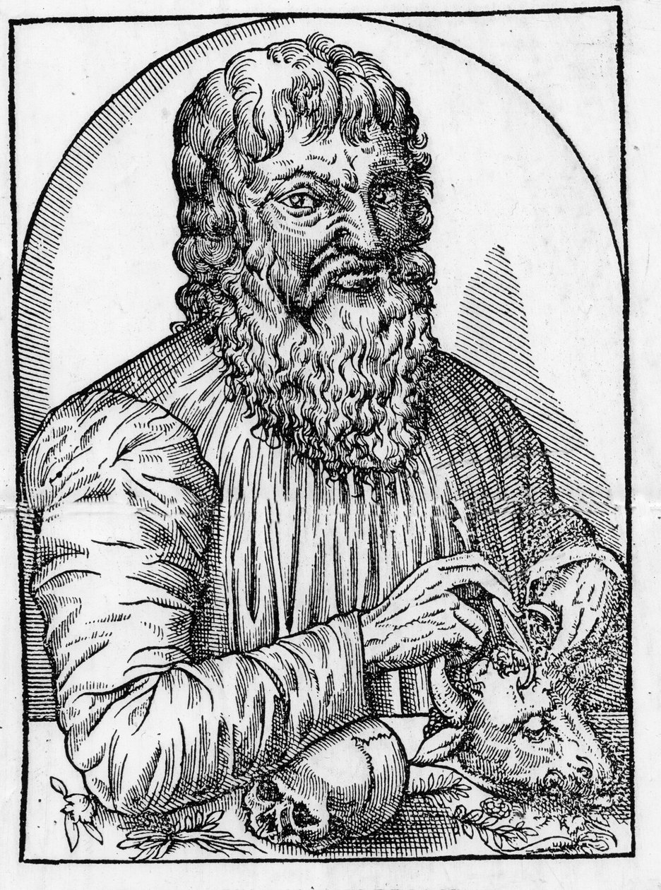 Ritratto di Ippocrate (460- circa 377 a.C.), medico greco. da Unknown artist