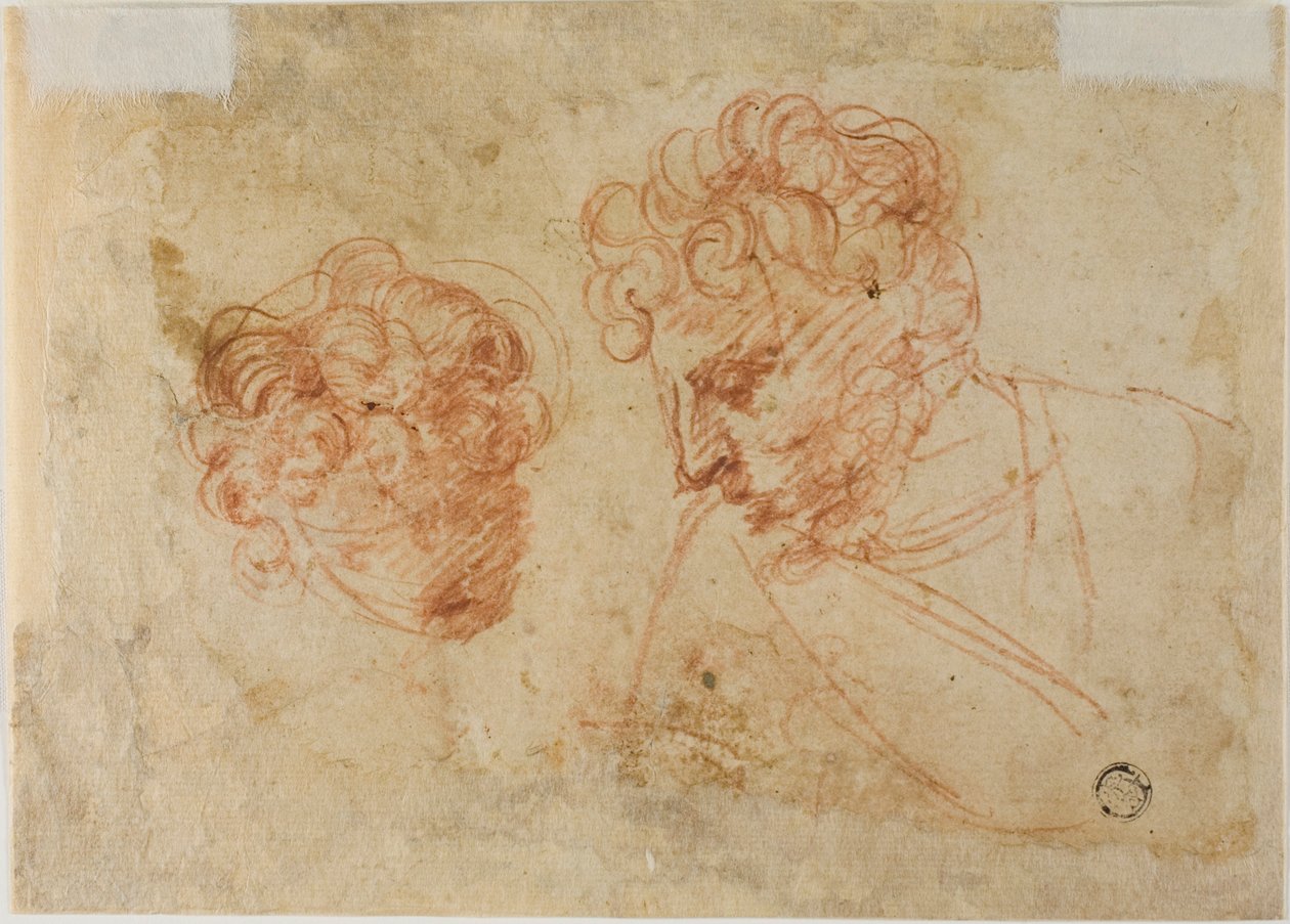 Due schizzi di teste (recto); due schizzi di donna drappeggiata (verso) da Unknown Florentine