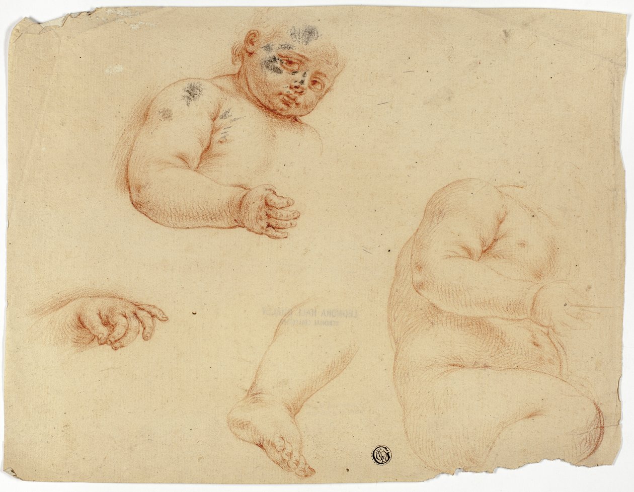 Schizzi di un bambino:  Mezzo busto, busto, piede, mano da Unknown Lombard