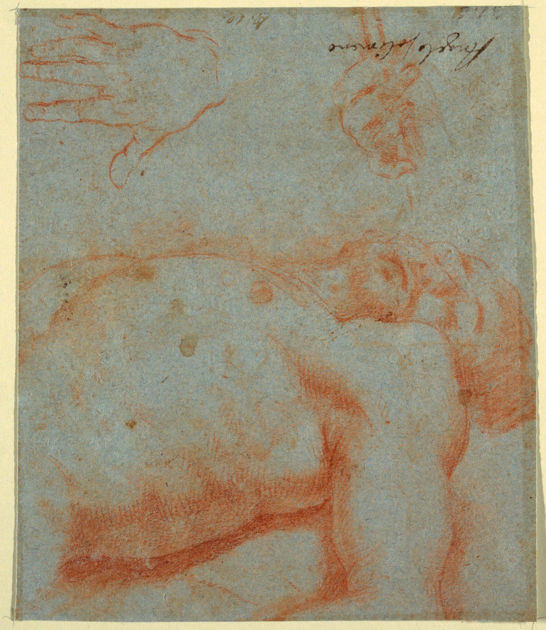 Disegno, Cristo morto, XVII-inizio XVIII secolo da Unknown artistUnknown artist