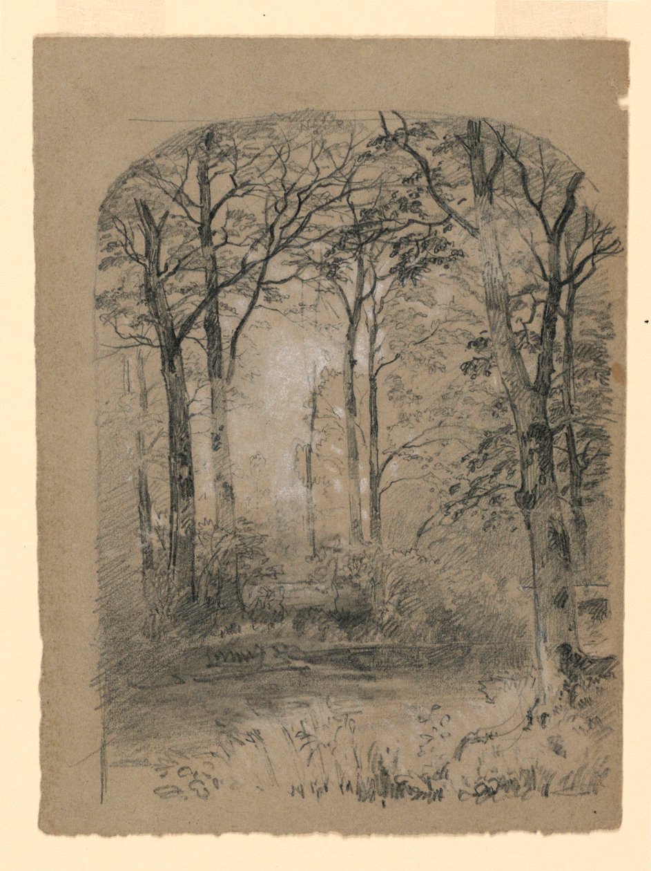 Disegno, Studio di un bosco, 1865-70 da Unknown artistUnknown artist