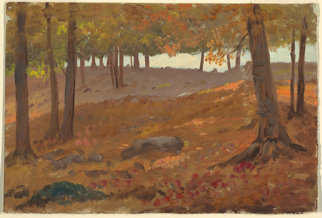 Disegno, Bosco in autunno, 1870-80 da Unknown artistUnknown artist