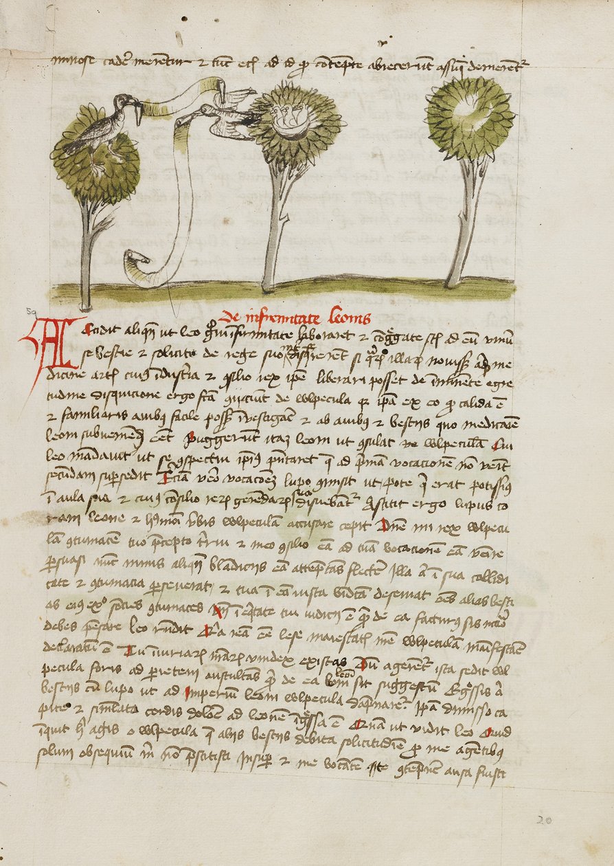 Un astore su un albero e un usignolo che vola via dal nido da Unknown artist