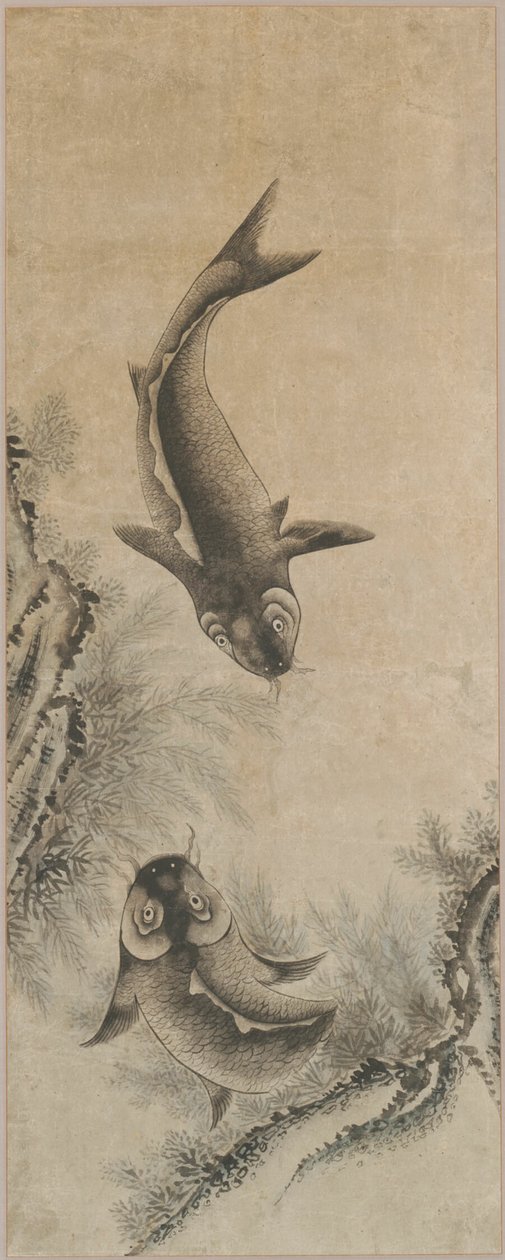 Una coppia di carpe da Unknown artist