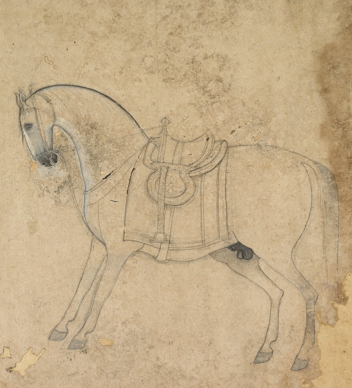 Un Cavallo Sellato da Unknown artist