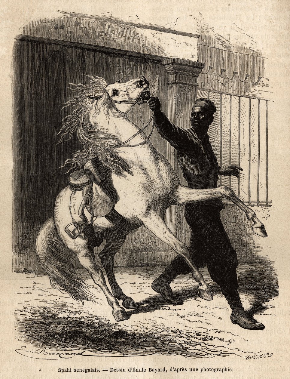 Uno spahi senegalese (cavaliere) a Saint-Louis (Saint Louis). Incisione per illustrare una crociera sulla costa dell