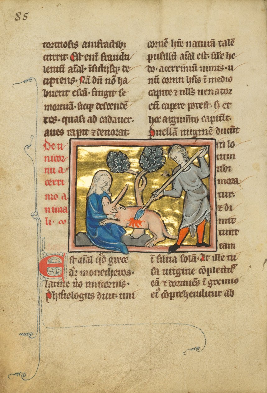 Un unicorno con la testa in grembo a una fanciulla da Unknown artist