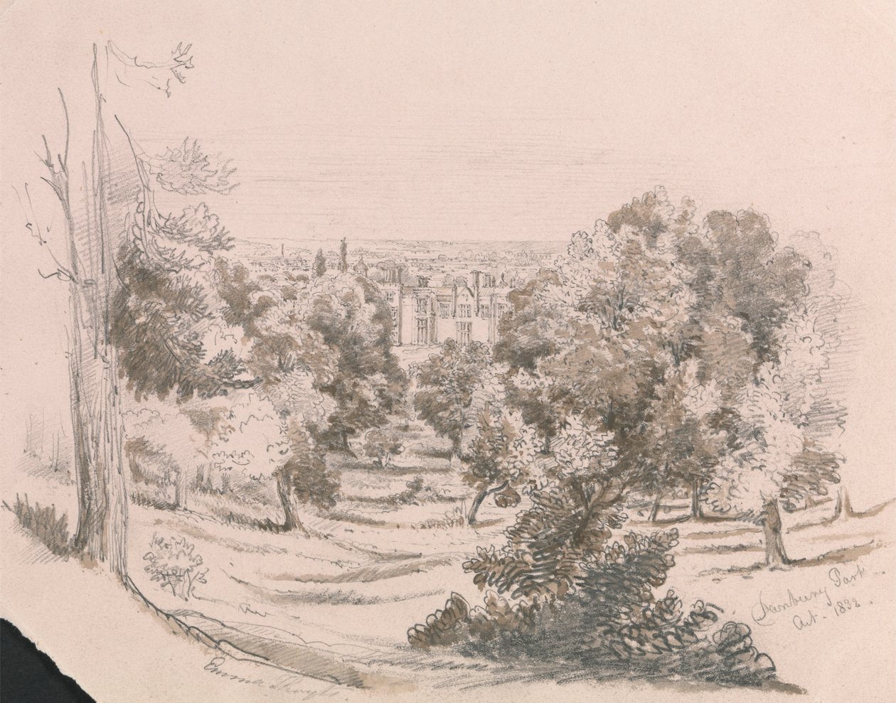 Vista di Danbury Park da Unknown artist