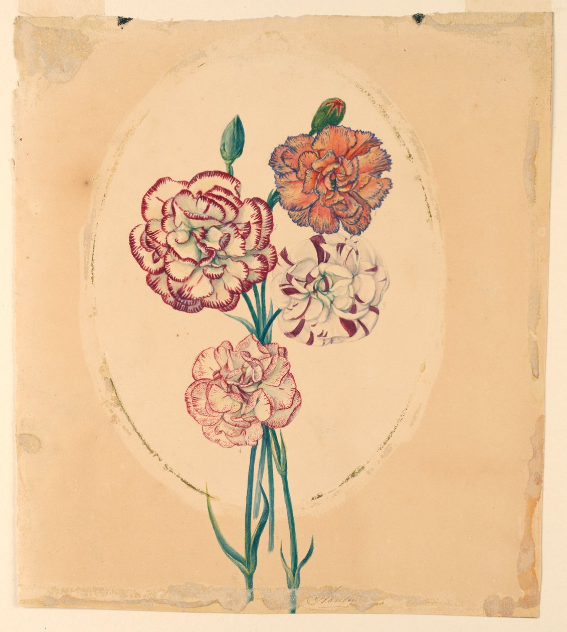 Un mazzo di quattro garofani da Unknown artist
