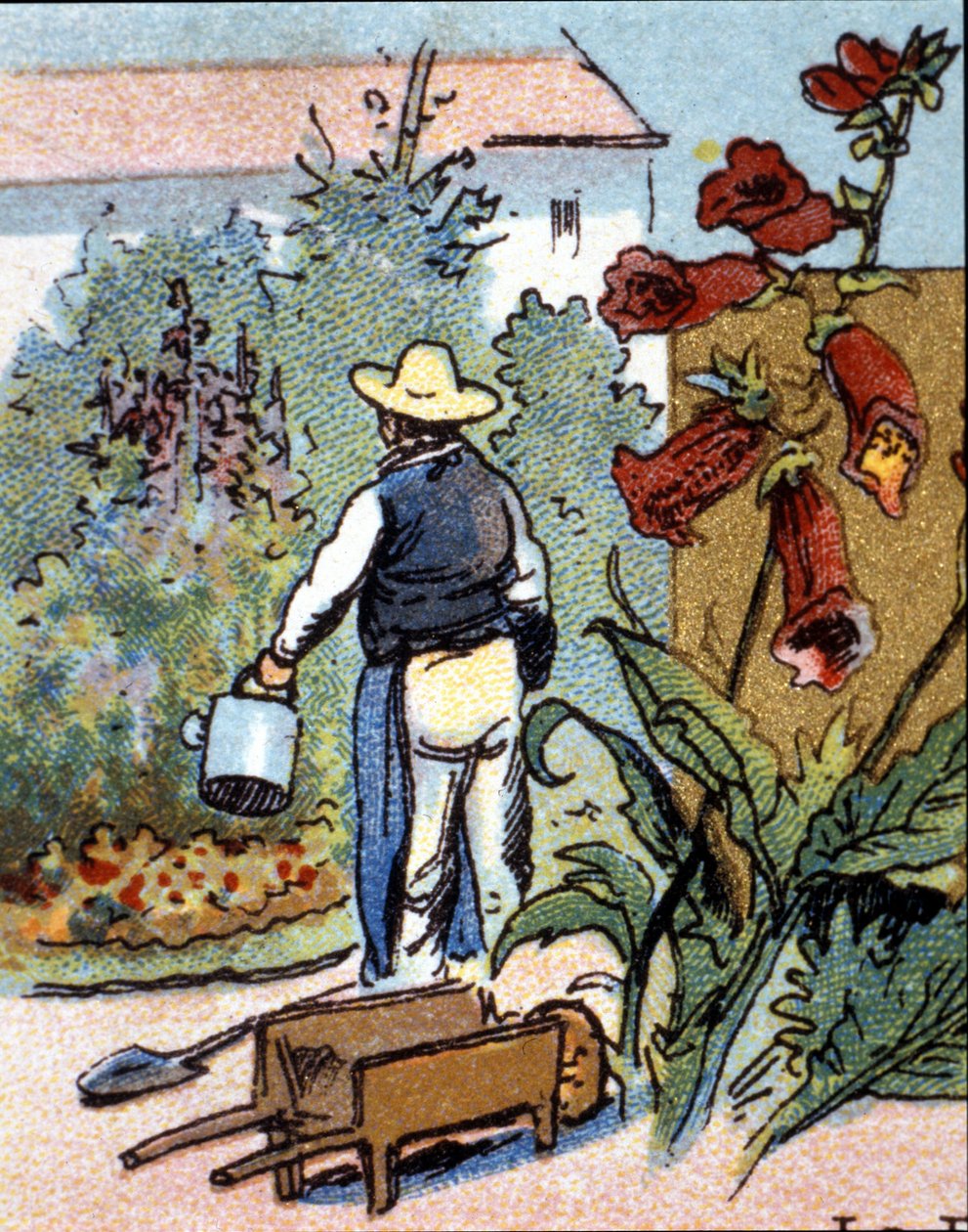 Un giardiniere, cromolitografia da Unknown artist