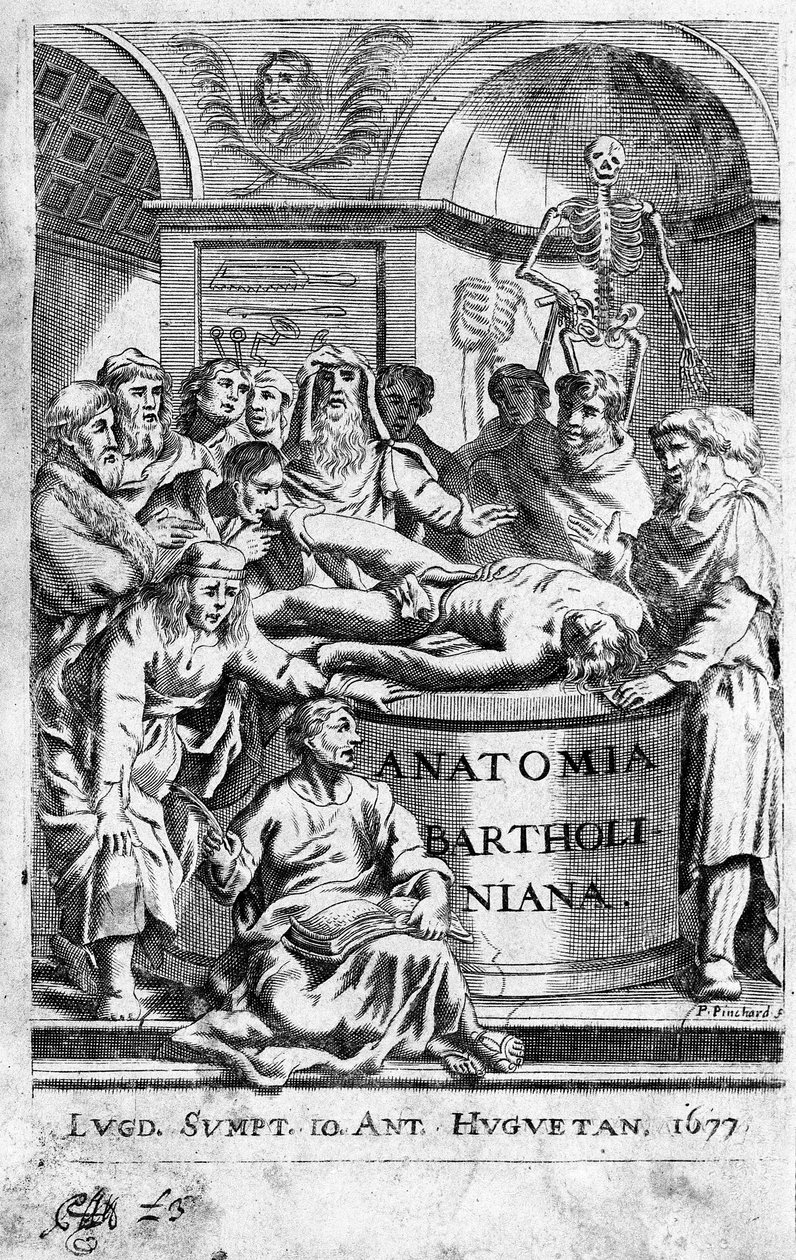 Una lezione di anatomia. Frontespizio tratto da 