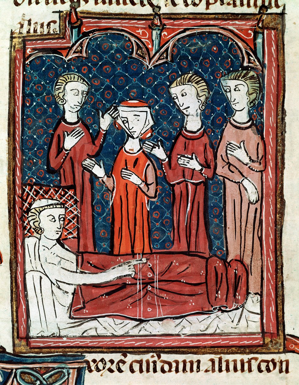 Un paziente a letto circondato da medici da Unknown artist