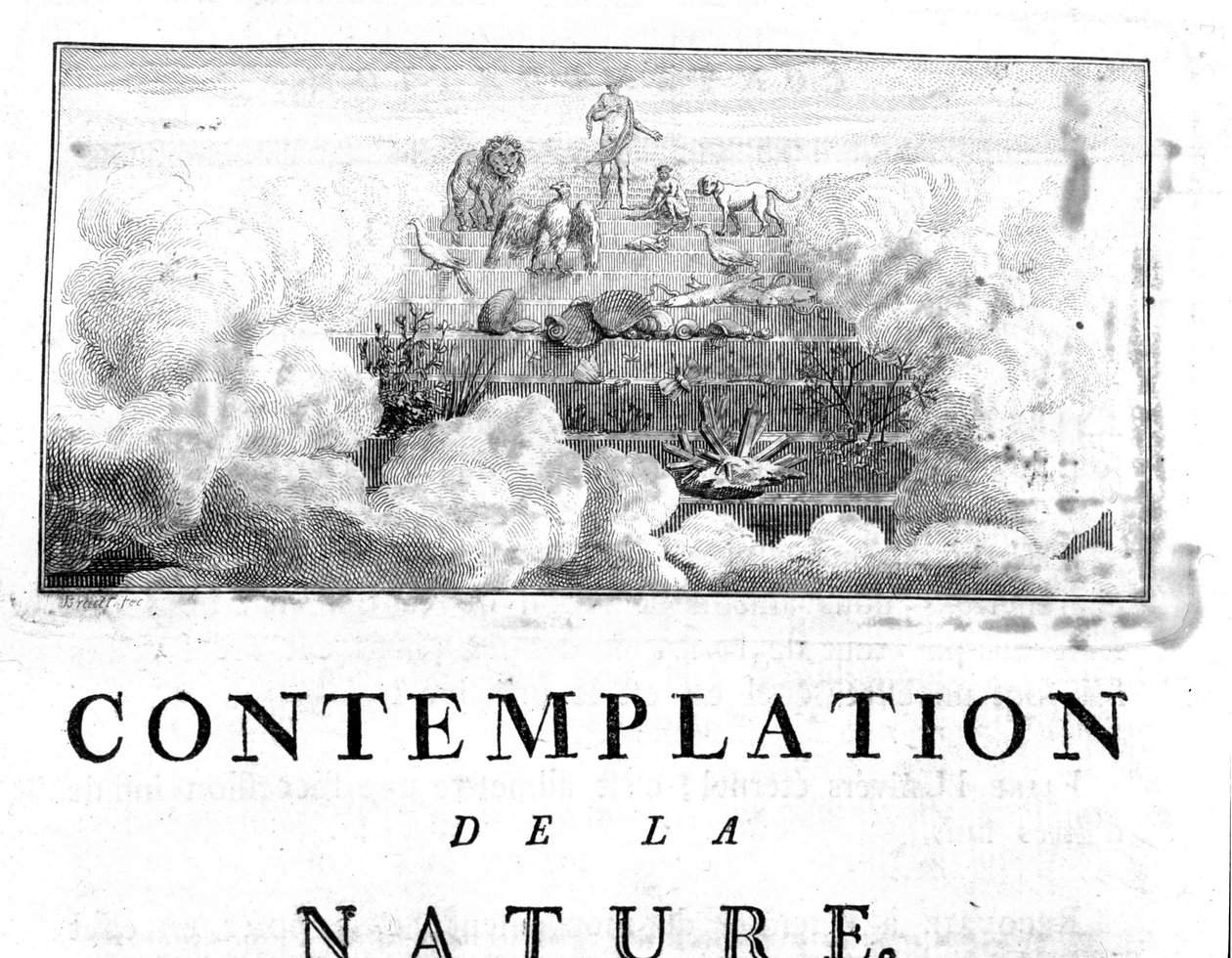 Rappresentazione allegorica dell