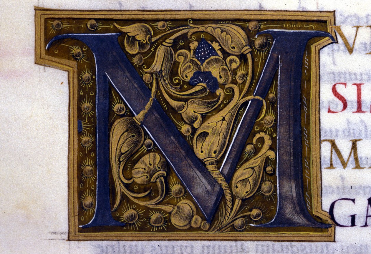 Alfabeto: lettera miniata M da Unknown artist