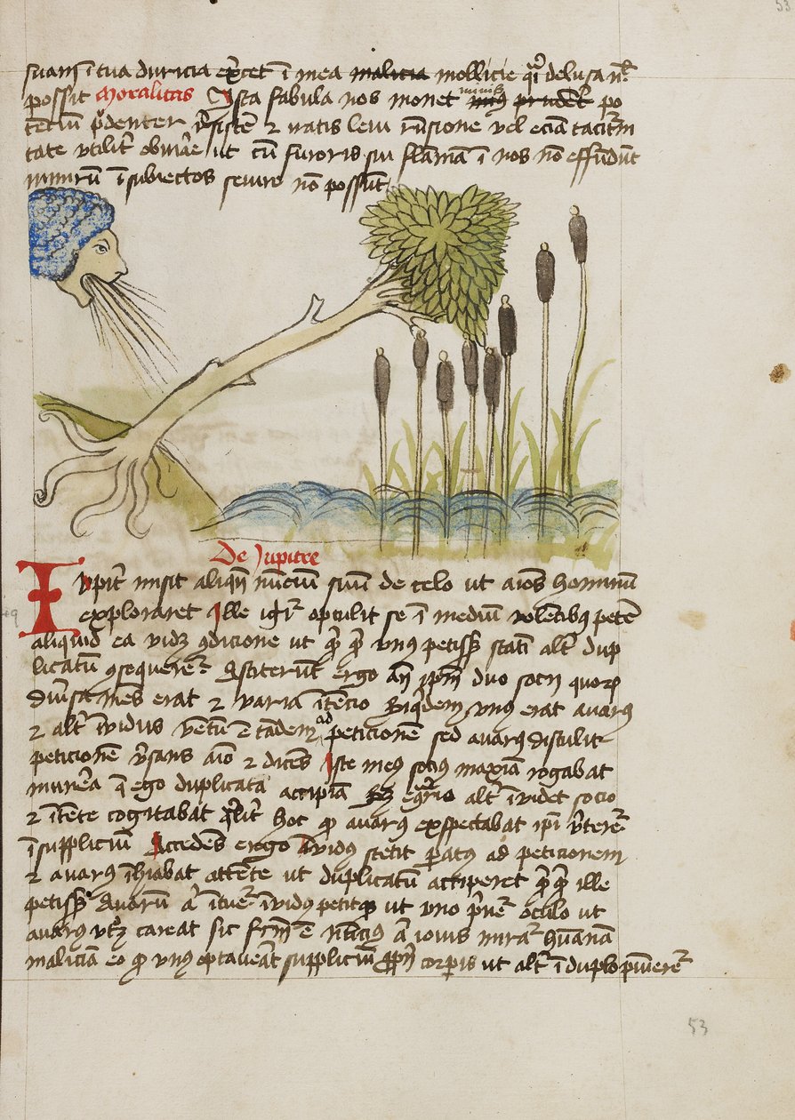 Un albero di quercia sradicato da un forte vento da Unknown artist