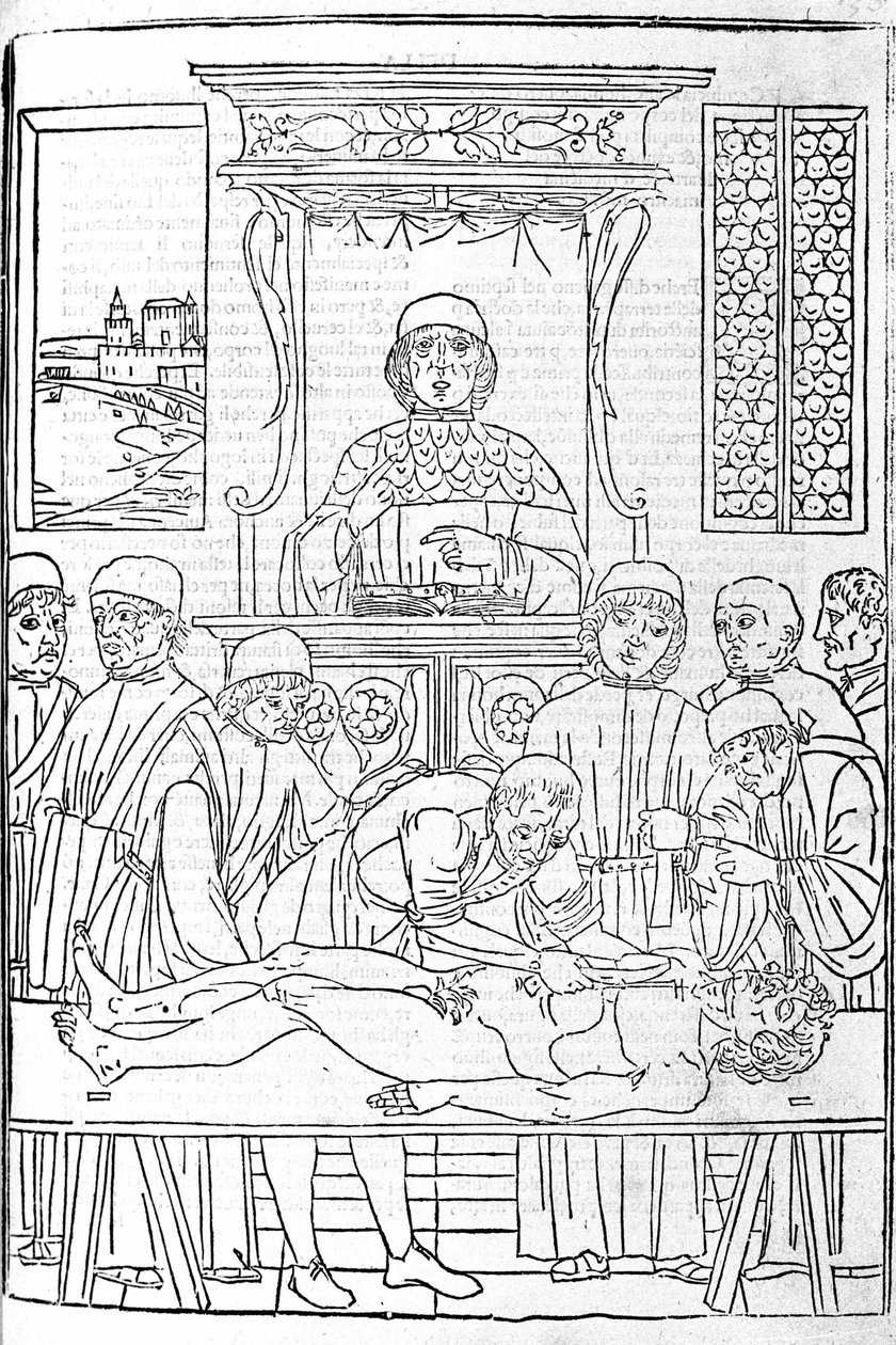 Dissezione anatomica. Incisione da un trattato di Medicina di Gerolamo Cardano, Firenze da Unknown artist