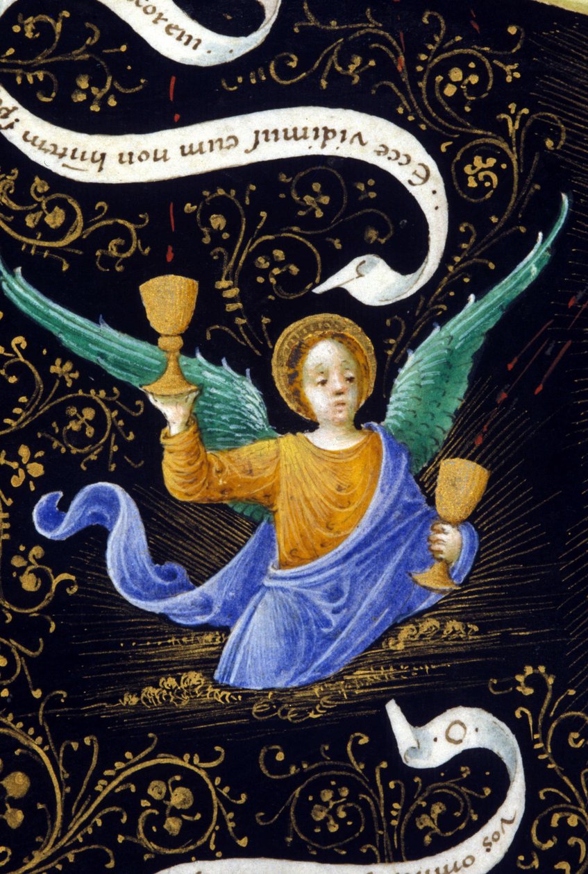 Angelo che tiene due calici. Miniatura di Belbello da Pavia da Unknown artist