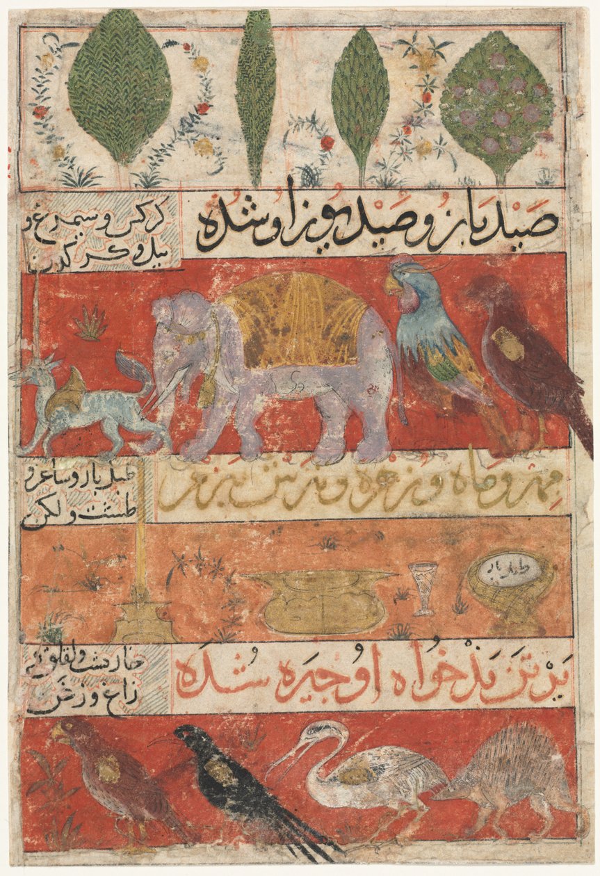 Animali, Uccelli e Piante (verso) da Mu