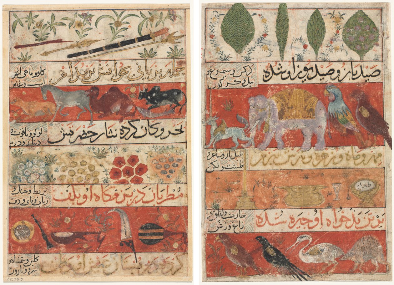 Animali, pietre preziose, monete e strumenti musicali (recto); Animali, uccelli e piante (verso) da Mu