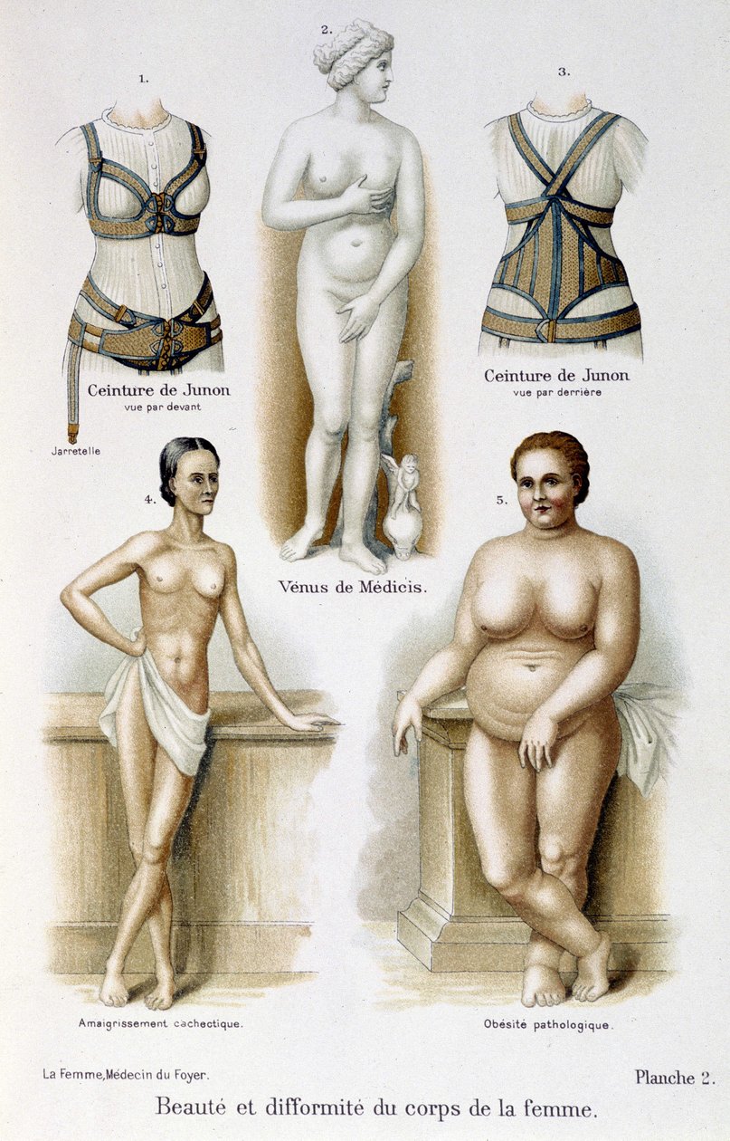 Bellezza e deformità del corpo femminile (magrezza e obesità); cinture di Giunone - in La donna, medico di casa da Unknown artist